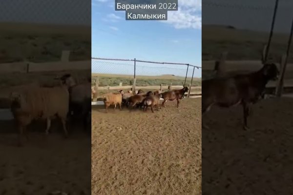 Кракен вход на сайт