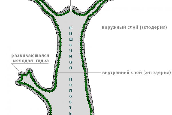 Кракен новая гидра