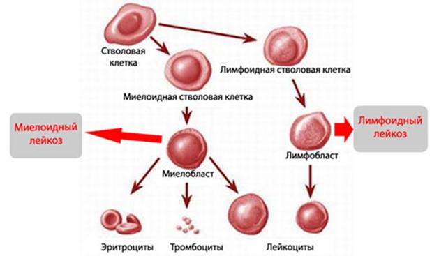 Кракен обход